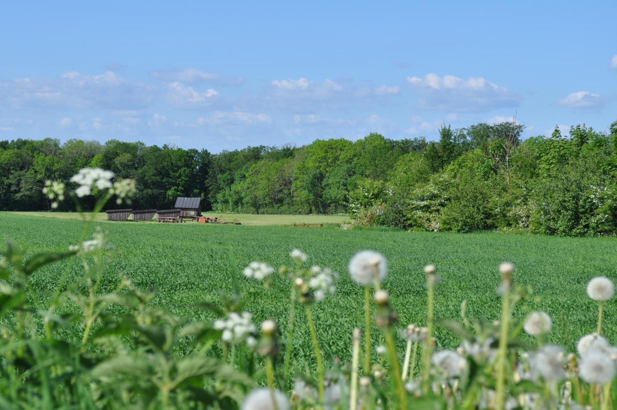 Koebenhovedskov Bed & Breakfast Rødding 外观 照片