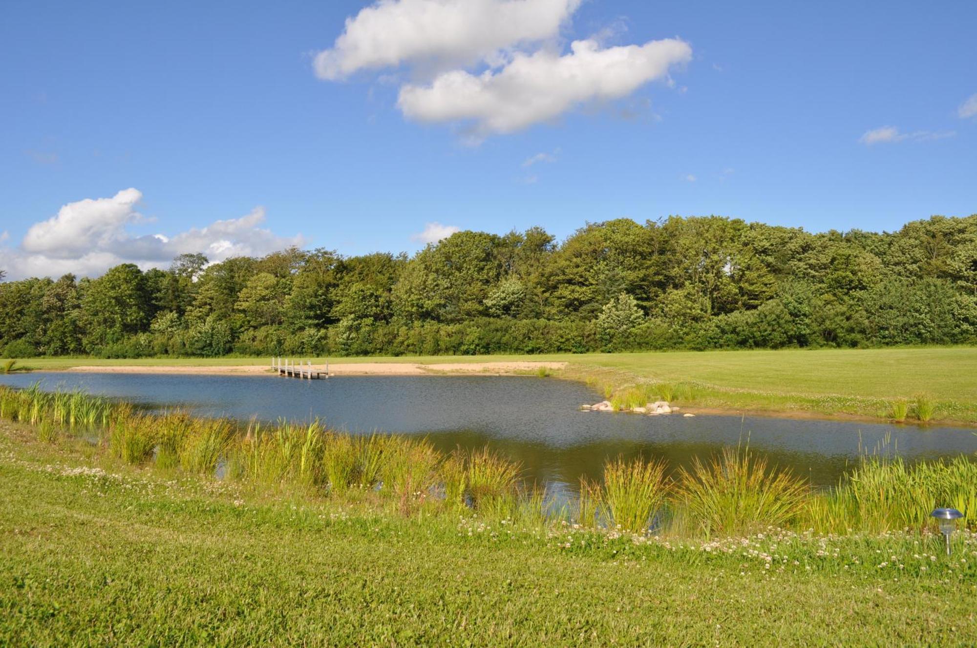 Koebenhovedskov Bed & Breakfast Rødding 外观 照片