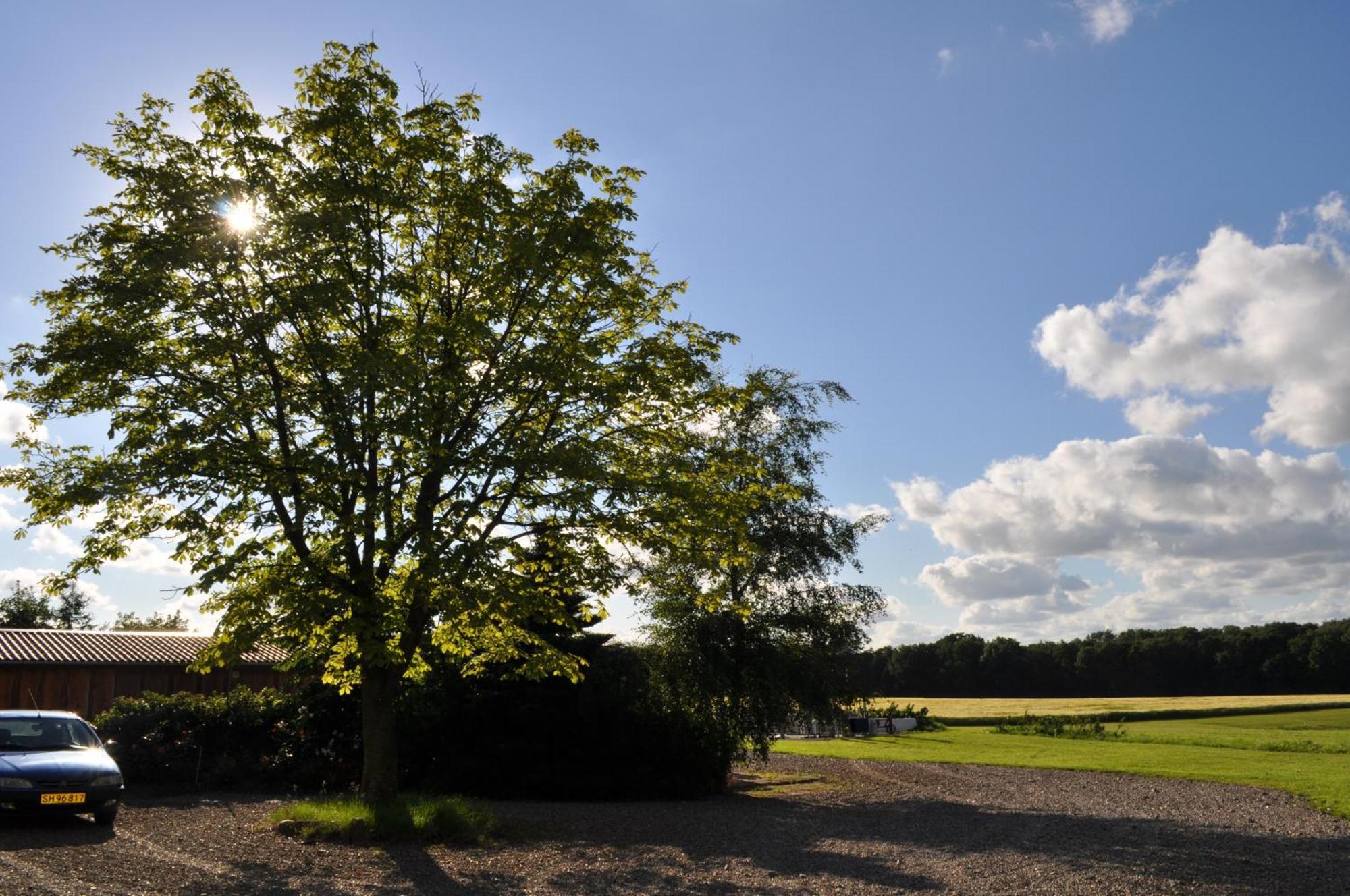 Koebenhovedskov Bed & Breakfast Rødding 外观 照片
