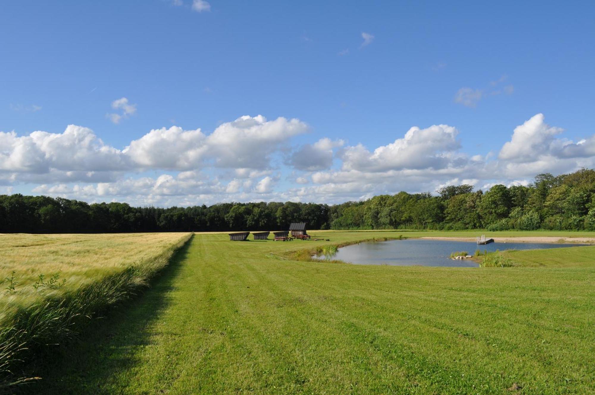 Koebenhovedskov Bed & Breakfast Rødding 外观 照片
