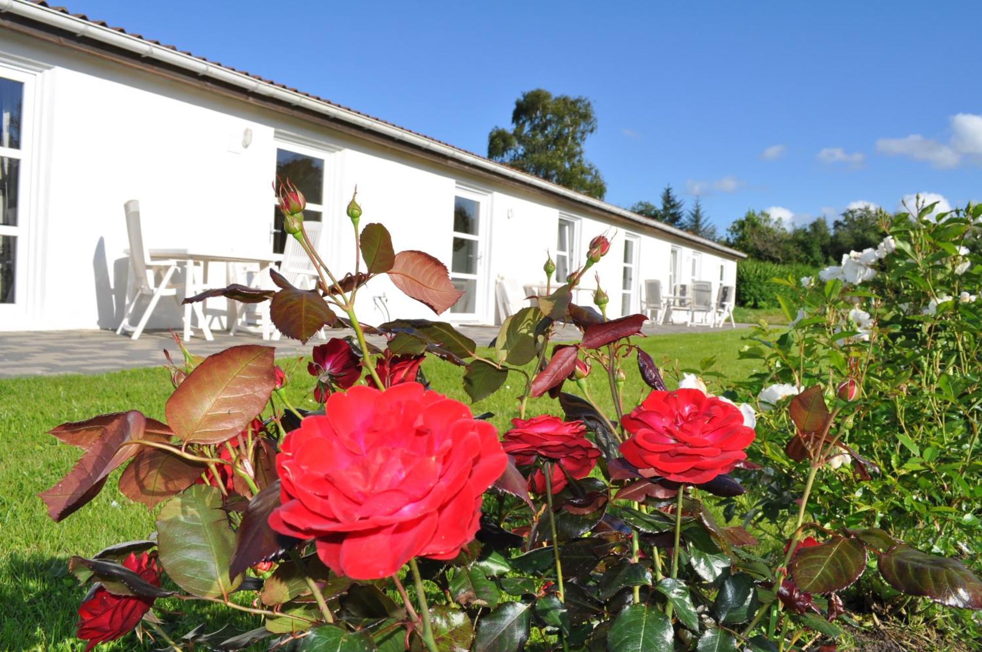 Koebenhovedskov Bed & Breakfast Rødding 外观 照片