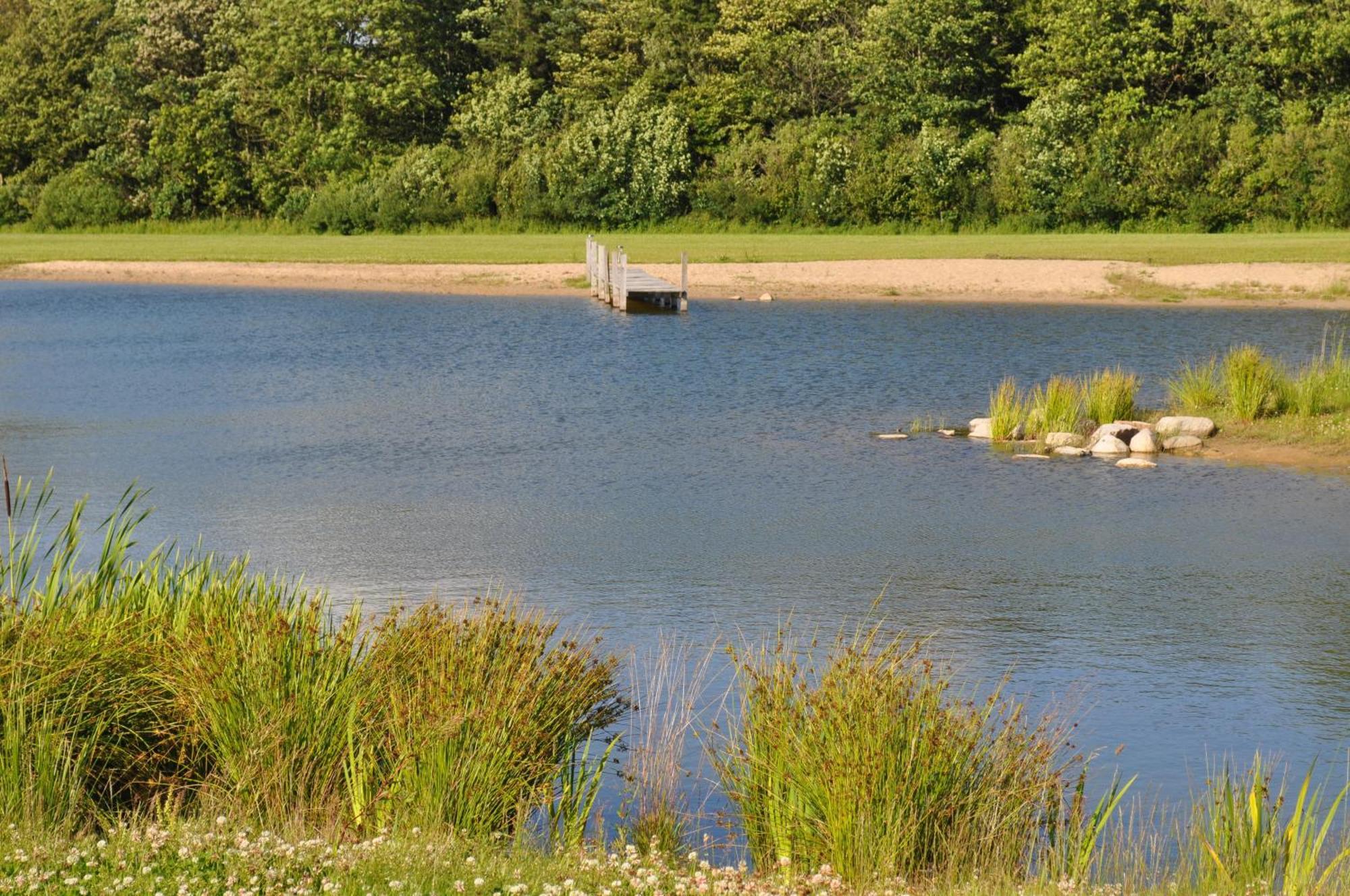 Koebenhovedskov Bed & Breakfast Rødding 外观 照片